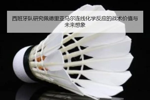 西班牙队研究佩德里亚马尔连线化学反应的战术价值与未来想象
